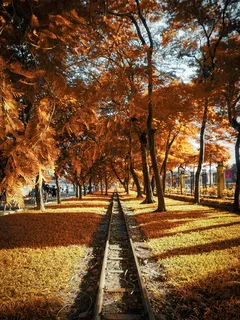 Linha de comboio numa parque arborizado