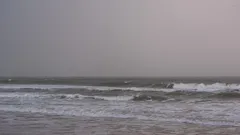 Pessoa em prancha de surf no oceano a desfrutar das ondas